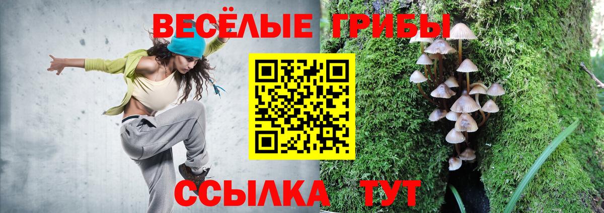 Галлюциногенные грибы ЛСД  Галлюциногенные грибы прущие грибы  Сердобск  наркота  Вход с VPN 